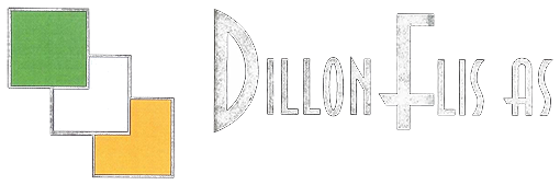 Dillon Flis AS